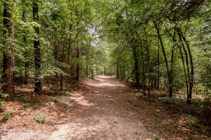 3134 Nursery Road, Livingston, TX 77351 - #2
