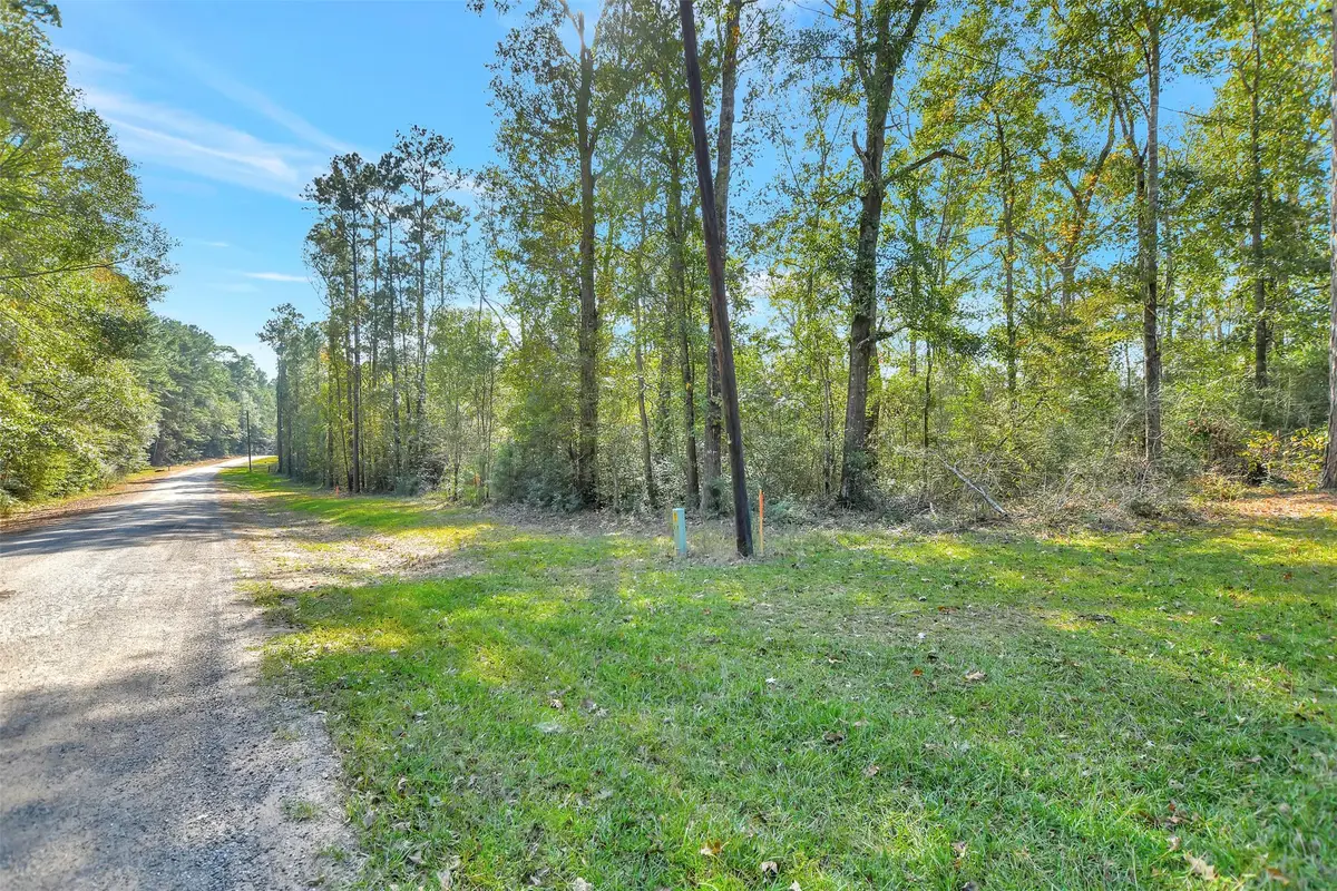 100 Virginia Creek, Coldspring, TX 77331 - Image #1