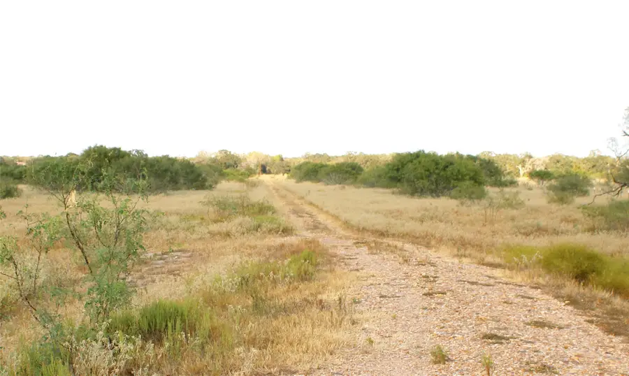 Parcel 2 Lobo Lane, Columbus, TX 78934 - #3
