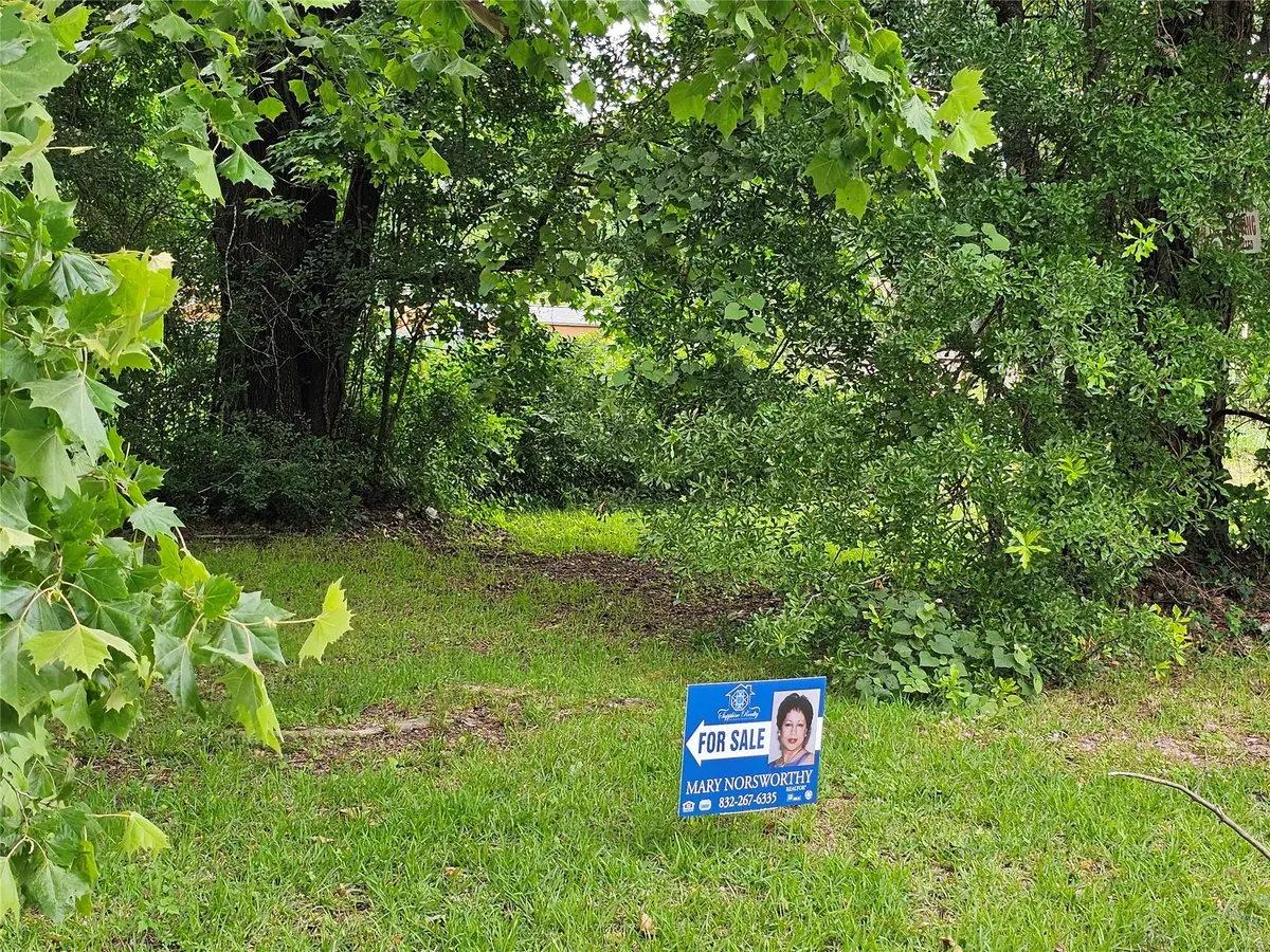 7423 Sundown Lot 162 Drive, Houston, TX 77028 - Image #1