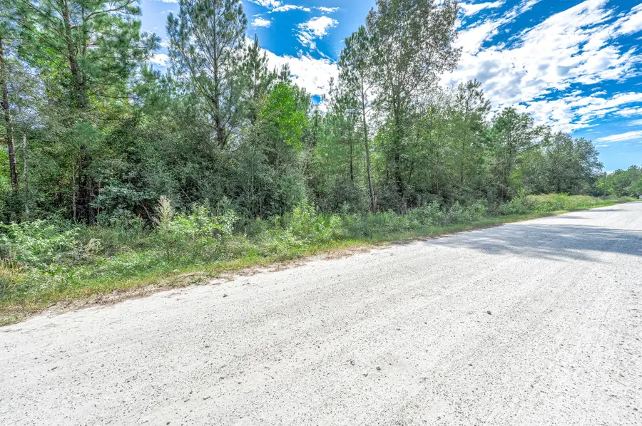 0 Bo Brown Road, Trinity, TX 75862 - #3