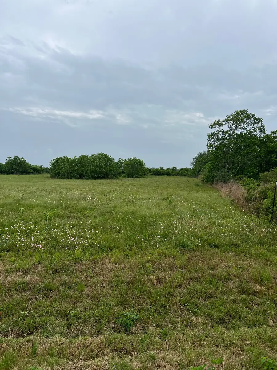 6180 County Road 208, Danbury, TX 77534 - #2