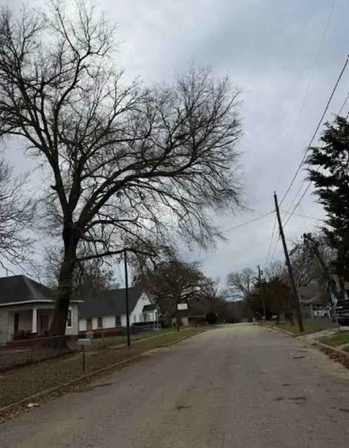 705 W Green Street, Palestine, TX 75801 - #3