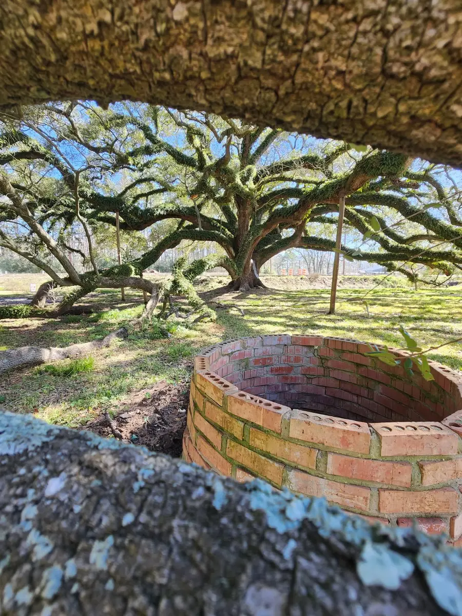 25605 Fm 2100 Road, Huffman, TX 77336 - Image #2