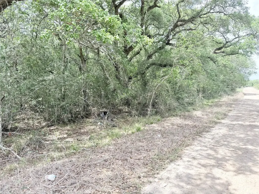 0 Oak Drive, Bay City, TX 77414 - #1