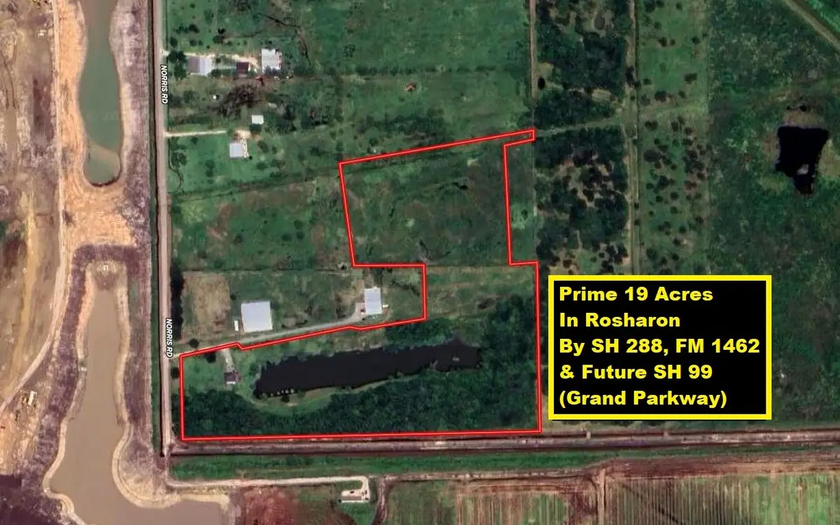 13803 Norris Road, Rosharon, TX 77583 - Image #1