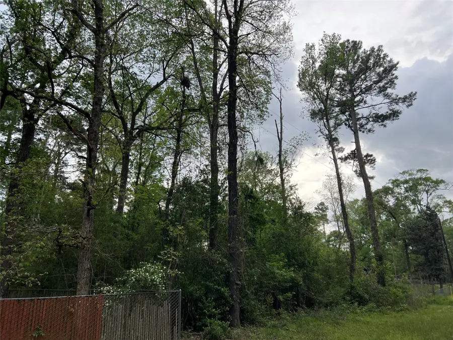 0 White Oak, Conroe, TX 77303 - #3