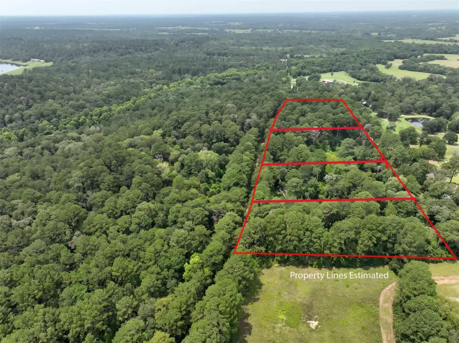 Lot Three, 3340 County Road 325, Navasota, TX 77868 - #2