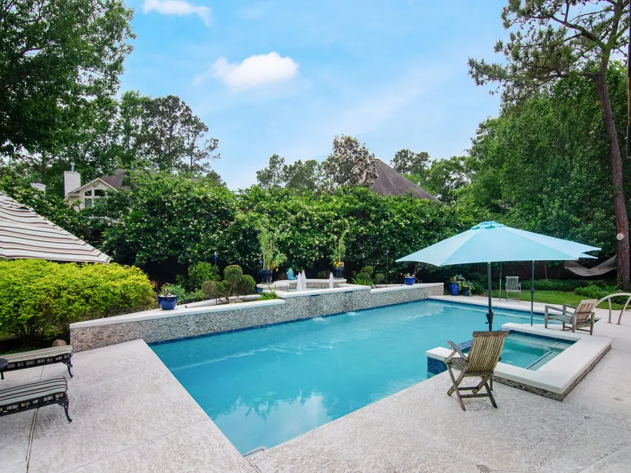 2 Day Lily Place, The Woodlands, TX 77381 - #3