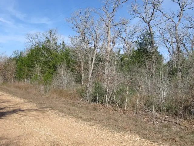 100 Rainbow Circle, Somerville, TX 77879 - #2