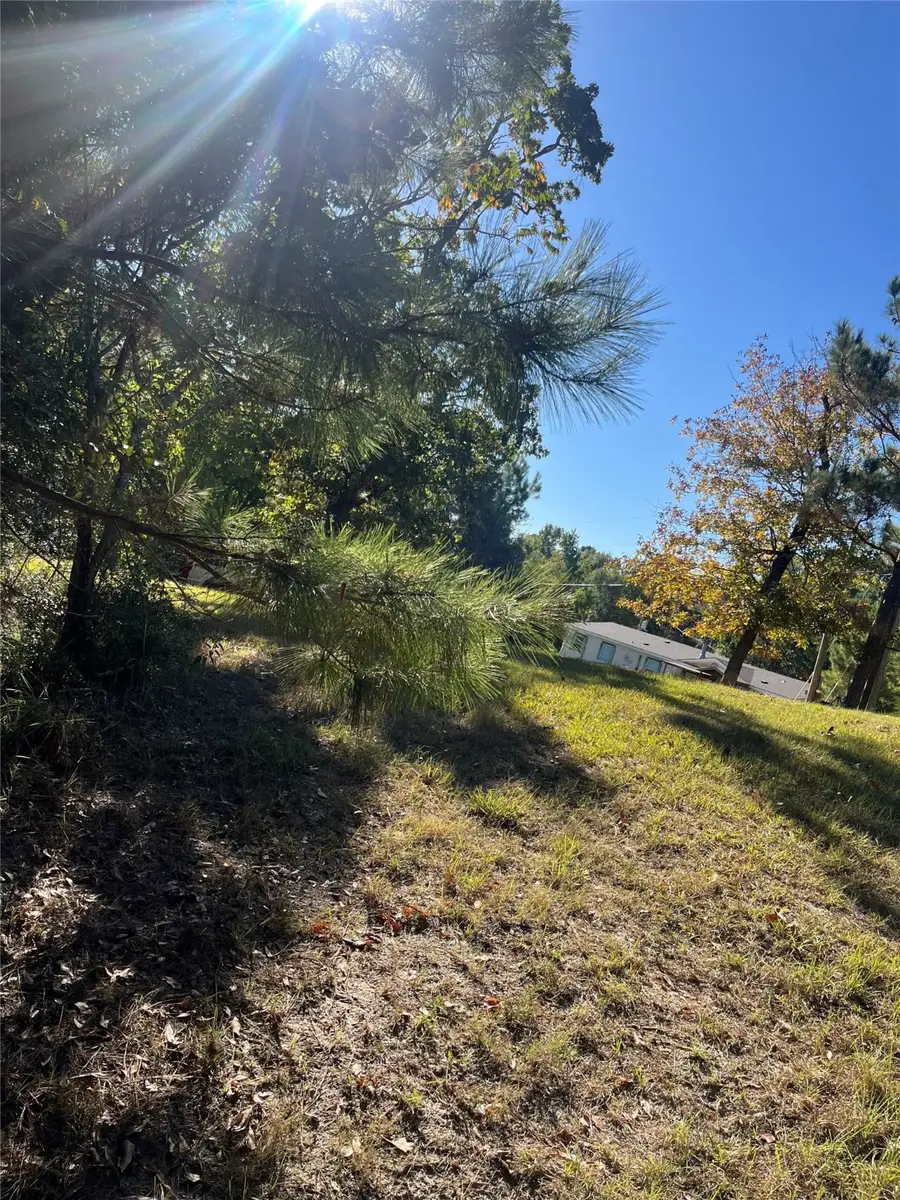 859 Creeklake Drive, Onalaska, TX 77360 - Image #2