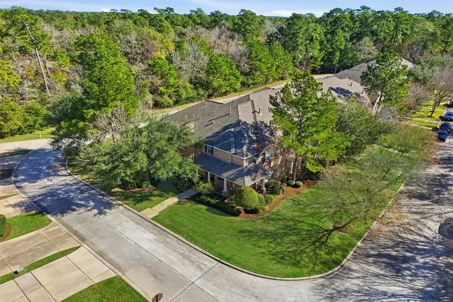 58 Crocus Petal Street, The Woodlands, TX 77382 - Image #3