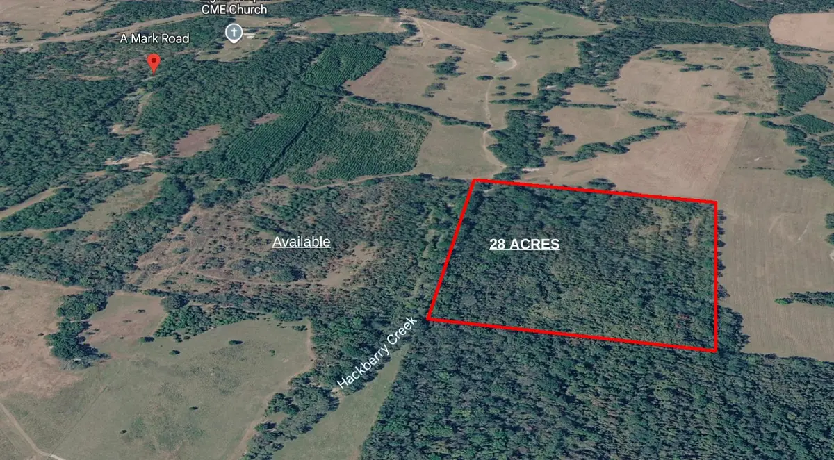 0 Amark Road, Apple Springs, TX 75926 - #1