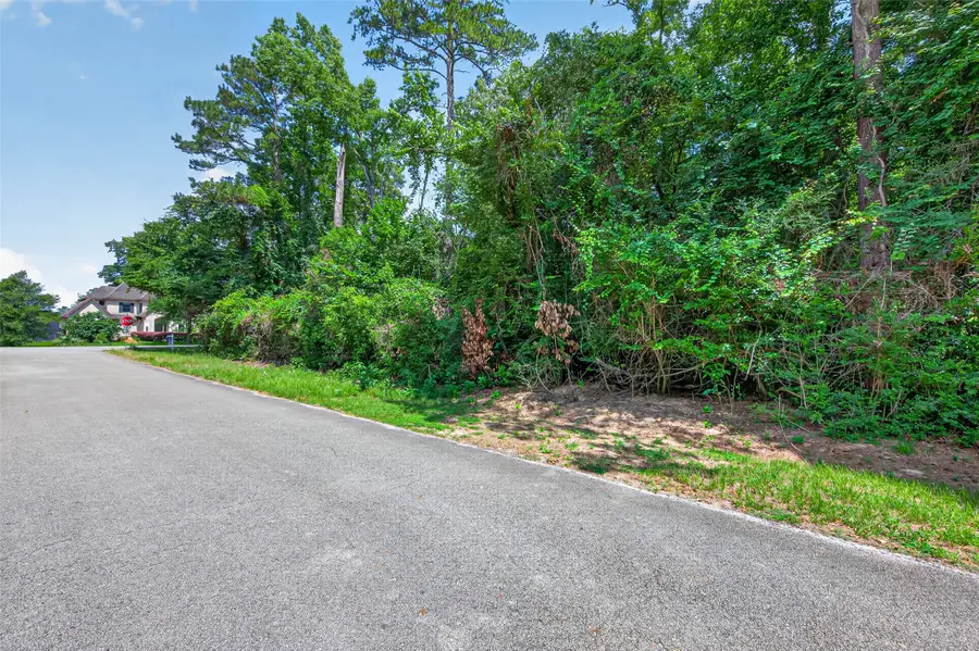 2407 Decatur Court, Conroe, TX 77384 - #2