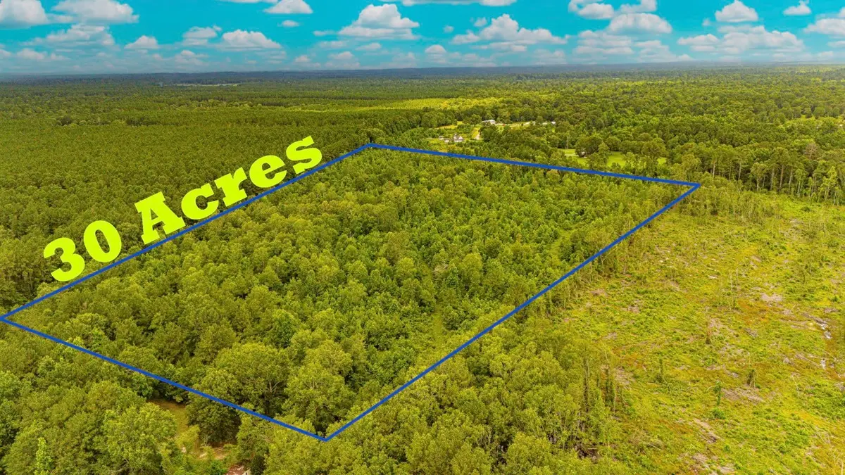 TBD County Road 2178, Cleveland, TX 77327 - #1