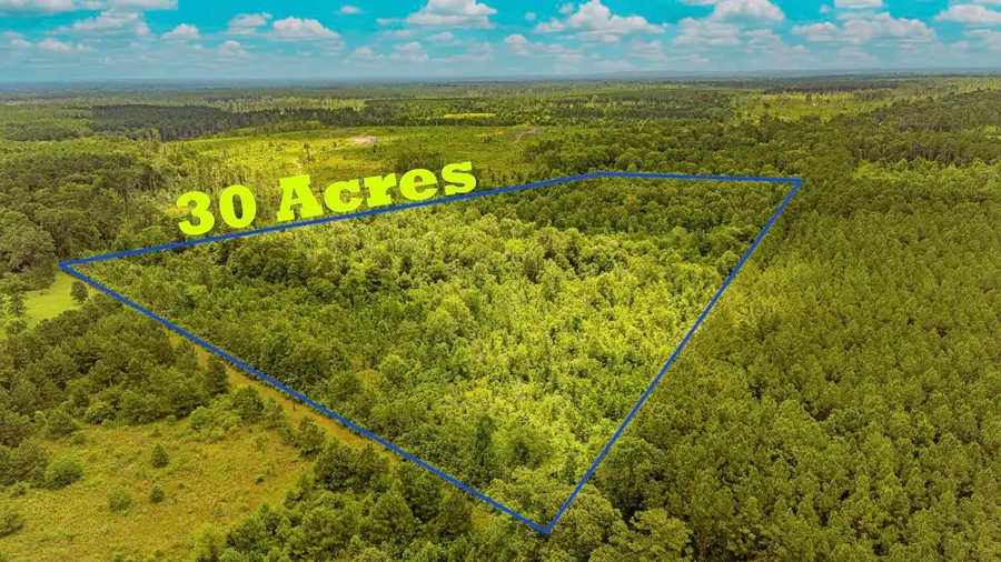 TBD County Road 2178, Cleveland, TX 77327 - #2