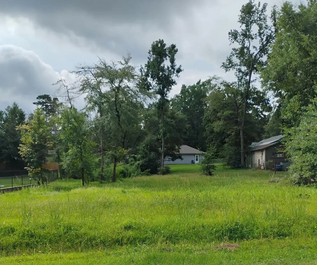 0 Royal Cullum Drive, Conroe, TX 77303 - Image #1