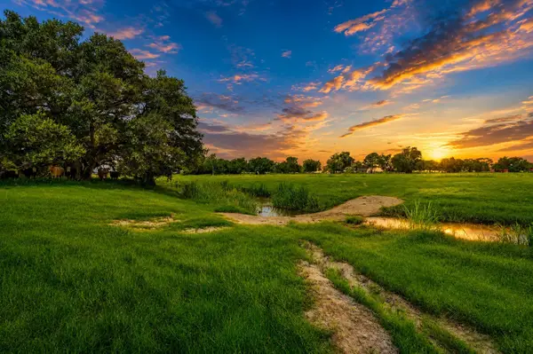 1613 Fm-2078, Wadsworth, TX 77483