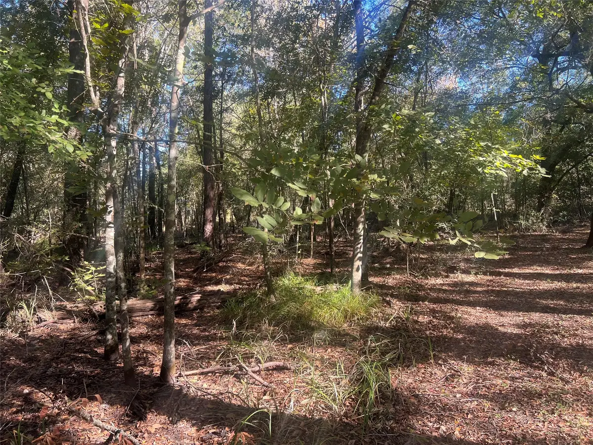 TBD Arrowhead Trail, Livingston, TX 77351 - Image #1