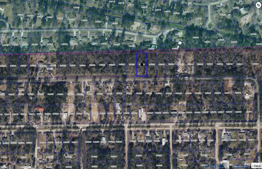 25557 Northampton, New Caney, TX 77357 - Image #3