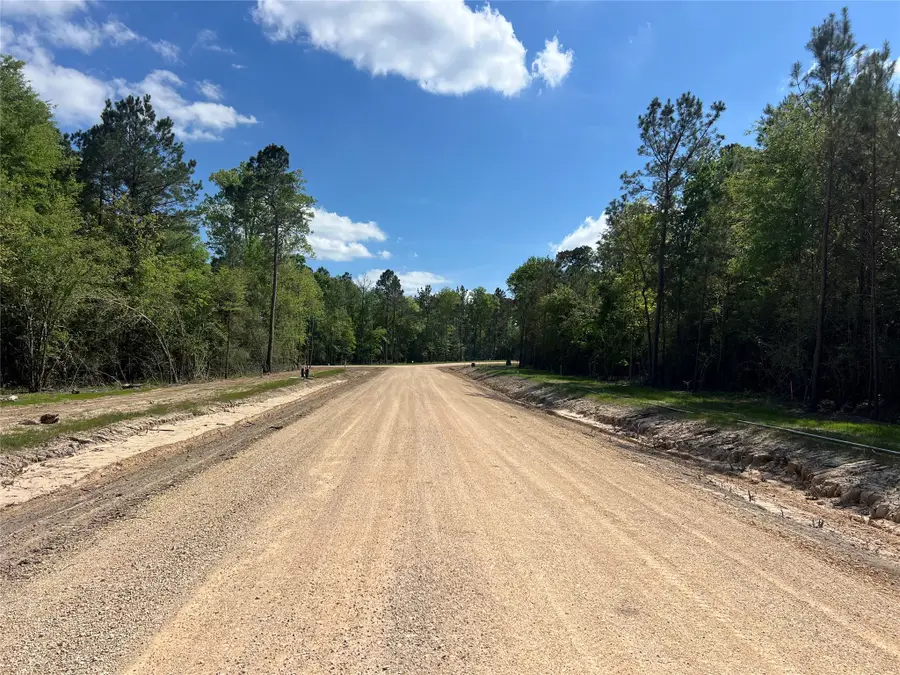 TBD Ellwood Dr, Livingston, TX 77351 - #2