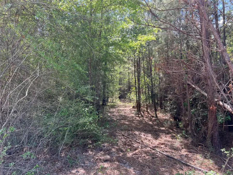 TBD Ellwood Dr, Livingston, TX 77351 - #3