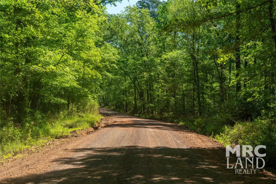 00 Linn Flat Road, Garrison, TX 75946 - #3