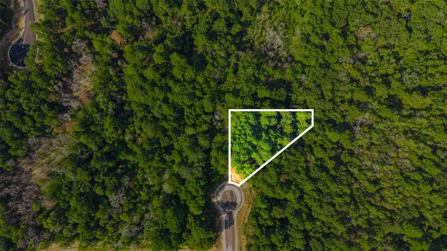 101 Longfellow Road, New Waverly, TX 77358 - #3