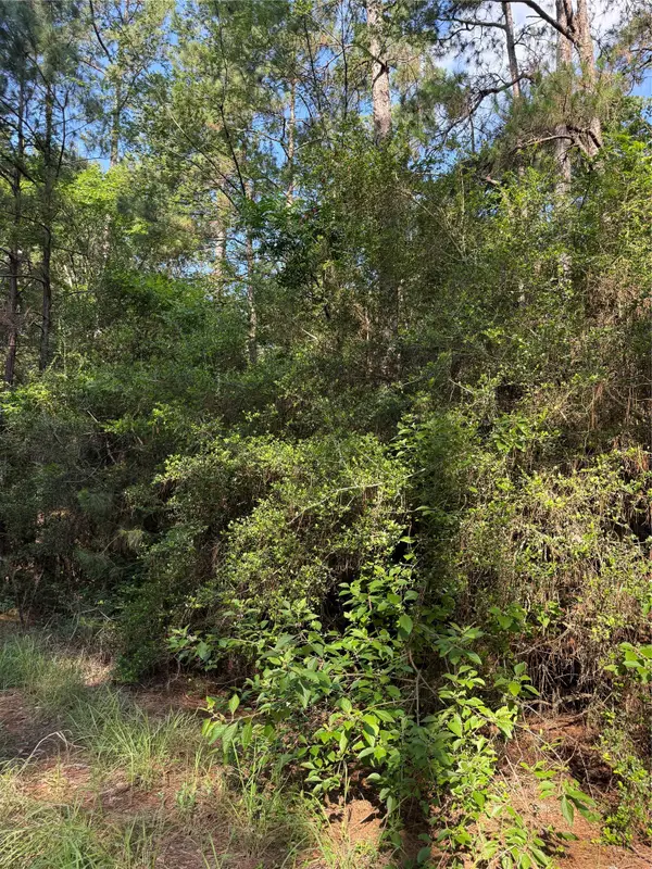 TBD Timberwood Lane, Navasota, TX 77868