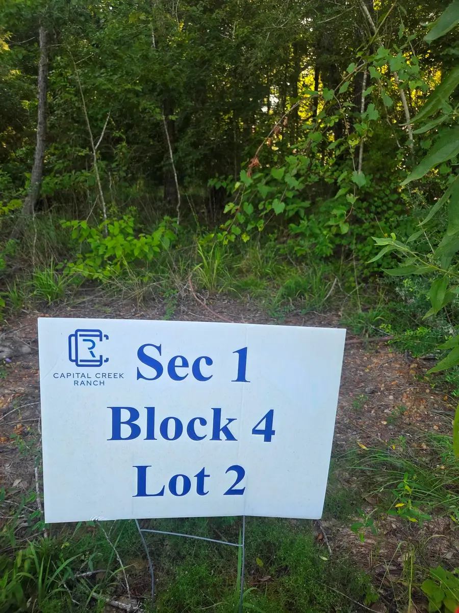 Lot 2 Block 4 Winters Vista Drive, Willis, TX 77378 - #3