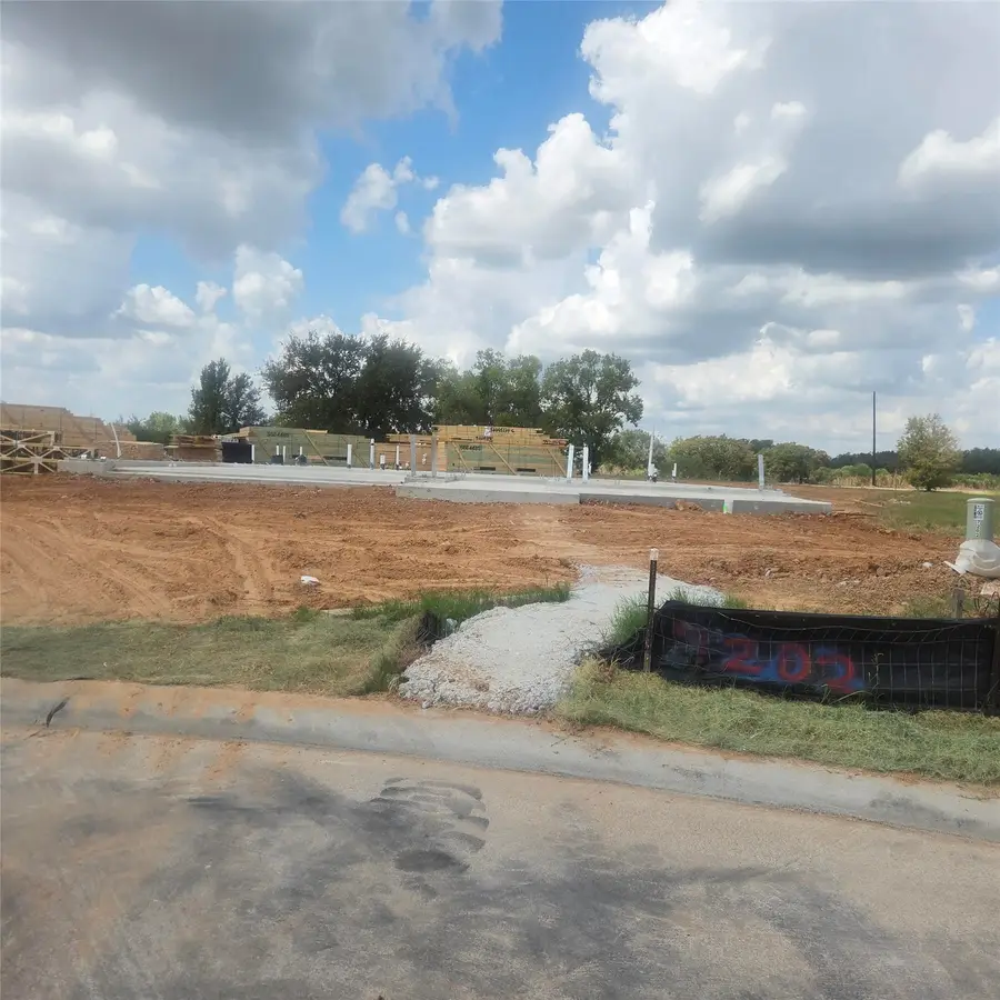 7202 Striped Maple Drive, Fulshear, TX 77441 - #2