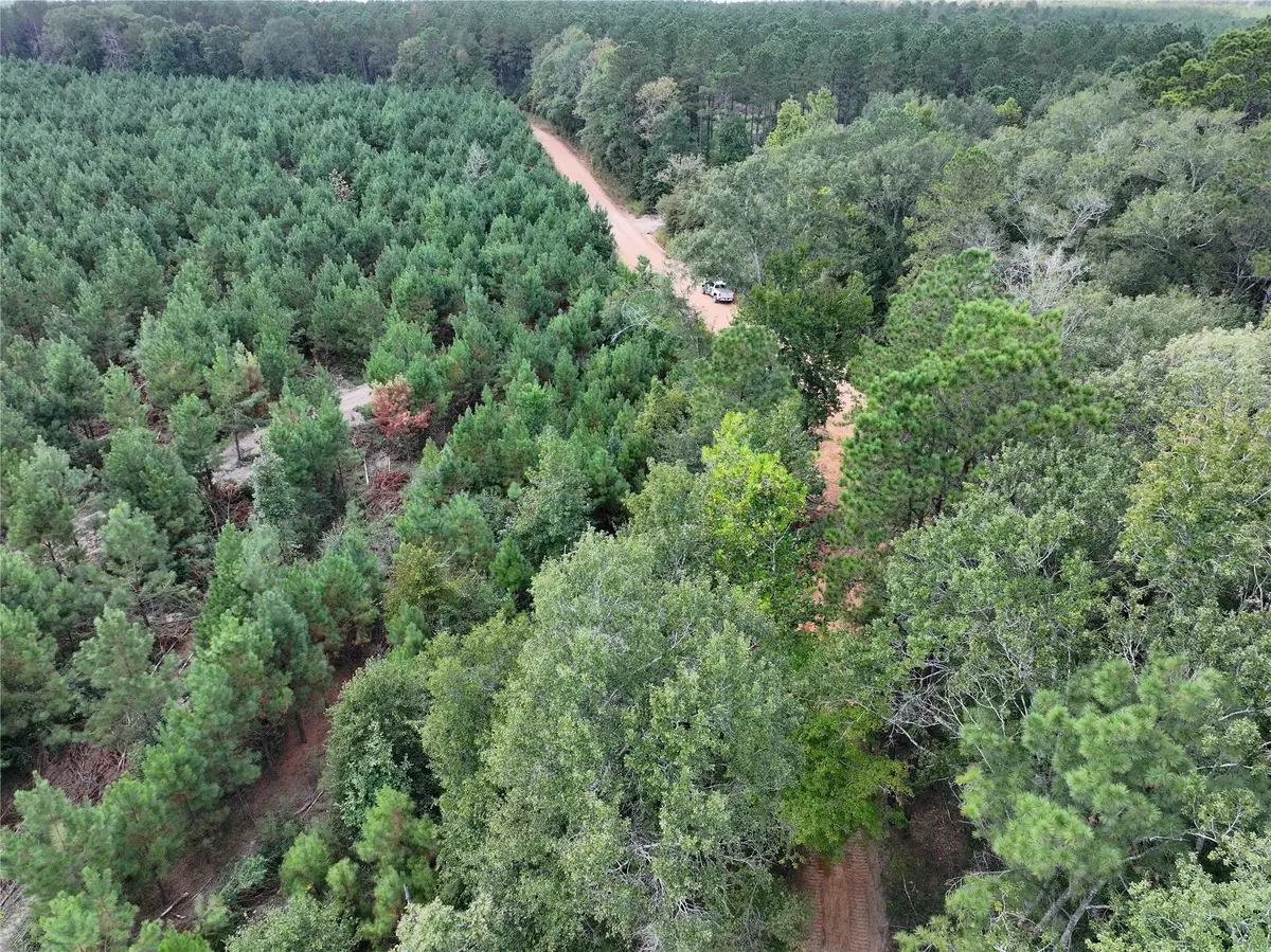 01 Bracewell Cemetery Road, Livingston, TX 77351 - #1