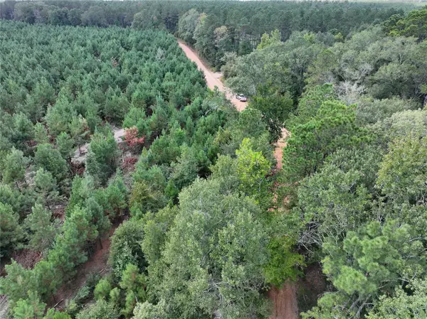 01 Bracewell Cemetery Road, Livingston, TX 77351