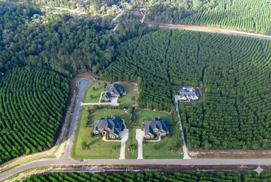 16326 Ridge Oak Road, Willis, TX 77378 - Image #2