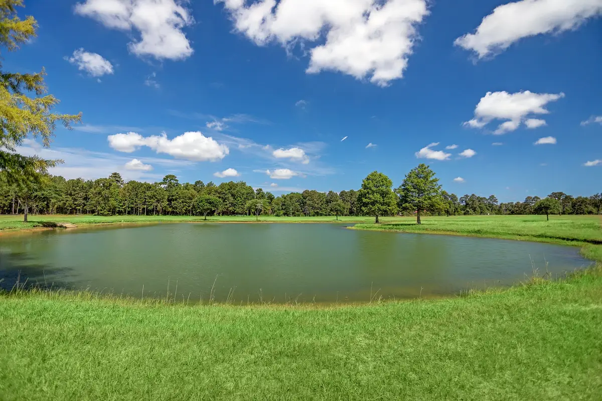 2435 Emerie Arbor Lane, Hockley, TX 77447 - #1
