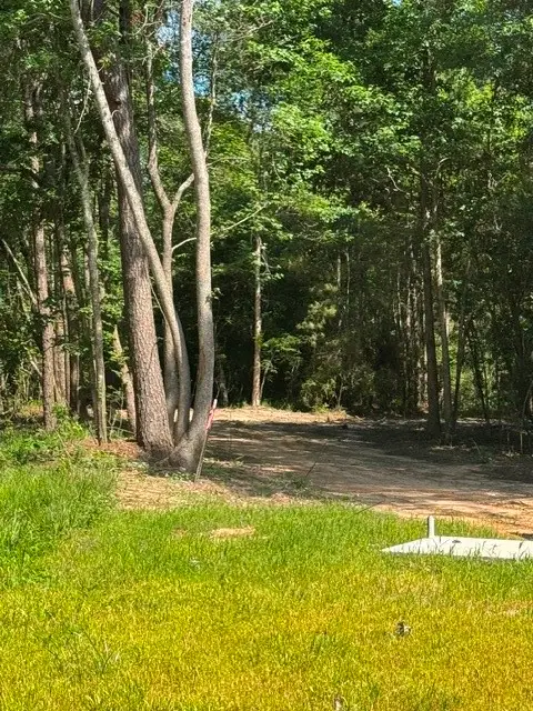 TBD LOT 1 Horace Bonds Road, Livingston, TX 77351 - #1