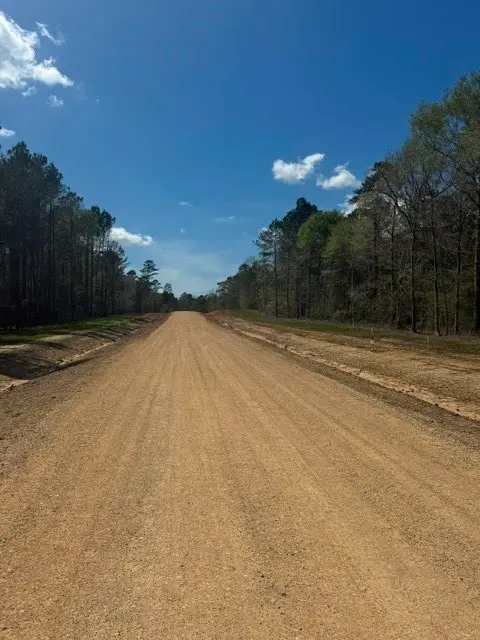 TBD LOT 1 Horace Bonds Road, Livingston, TX 77351 - #2