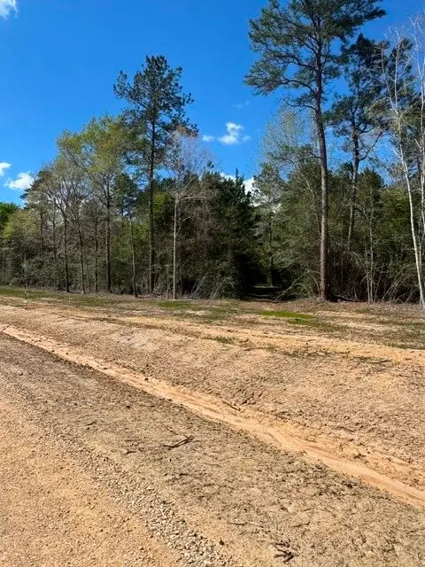 TBD LOT 1 Horace Bonds Road, Livingston, TX 77351 - #3