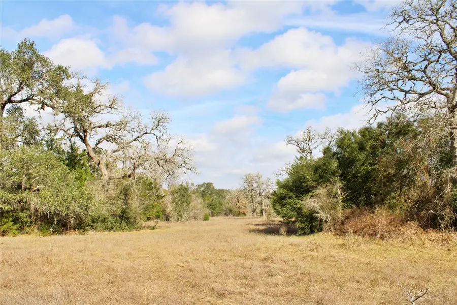 TBD Parcel 11 Lobo Lane, Columbus, TX 78934 - #2