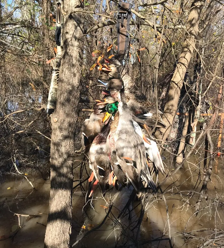 TBD Cr 155, Centerville, TX 75833 - Image #3