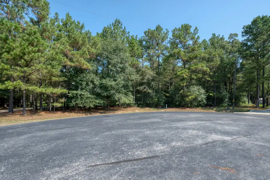 7715 Saddle Blanket Drive, Waller, TX 77484 - Image #2