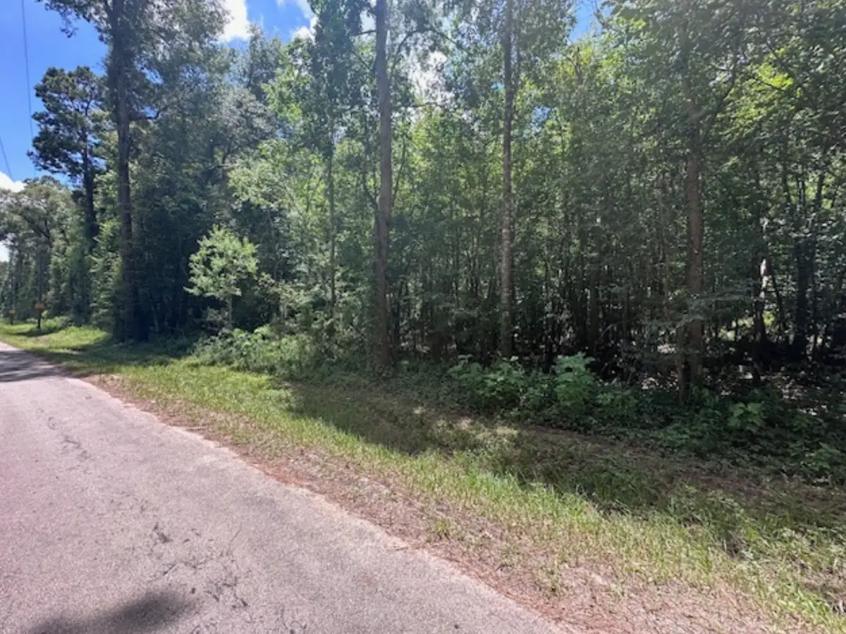 00 Fm-2090, Splendora, TX 77372 - Image #1