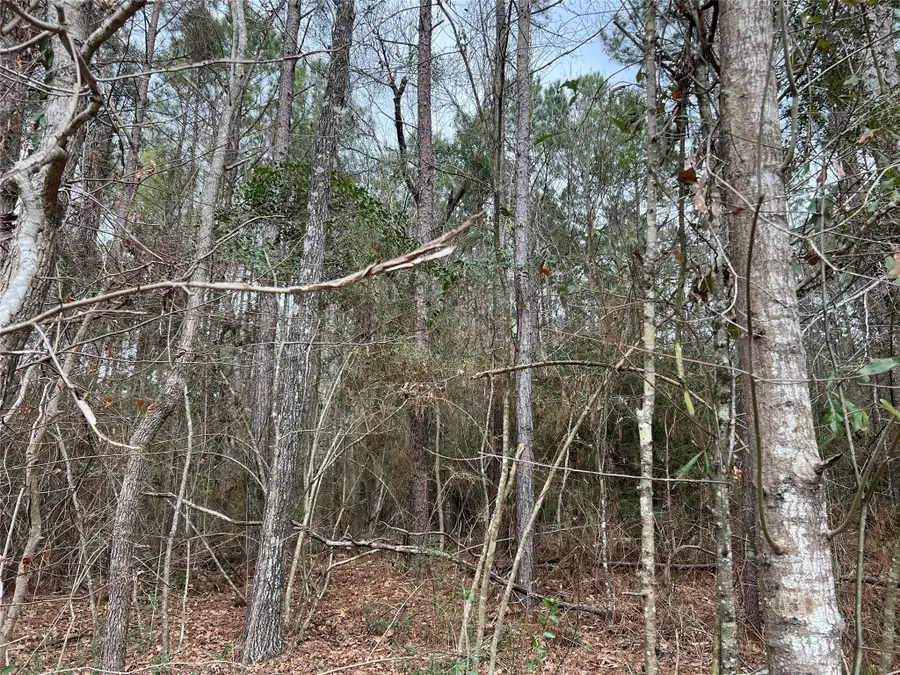 TBD Baxter Road, Livingston, TX 77351 - #2