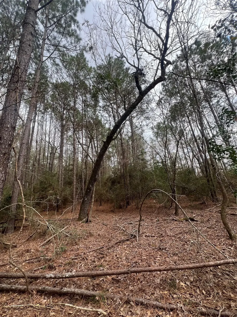 TBD Baxter Road, Livingston, TX 77351 - #3