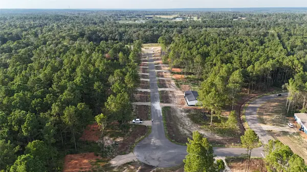 11351 Annie Creek Drive, Willis, TX 77378