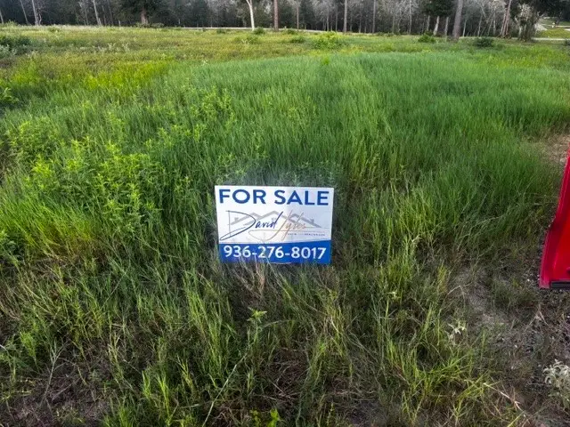 TBD Anna Grace Lot 35, Livingston, TX 77351 - #2