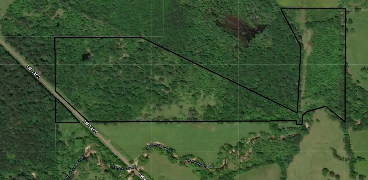 0 W Fm 2262, Apple Springs, TX 75926 - #1