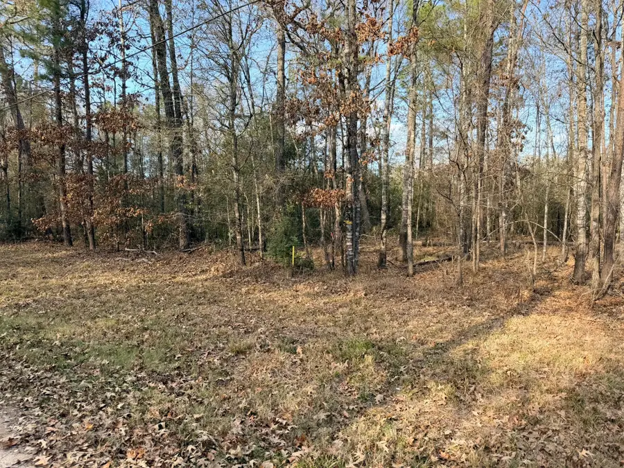 TBD Indian Oaks, Livingston, TX 77351 - Image #3