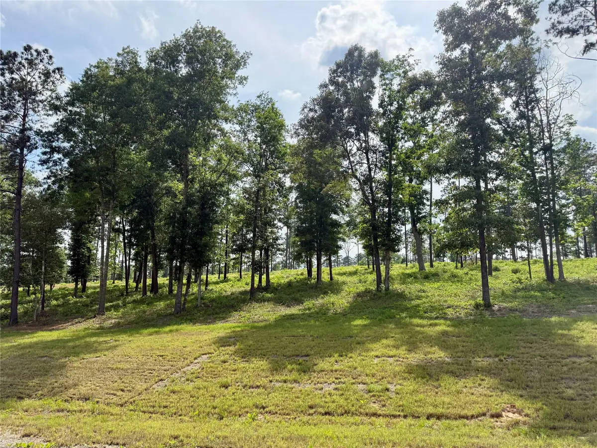 Lot 72 Western Road, Livingston, TX 77351 - #1