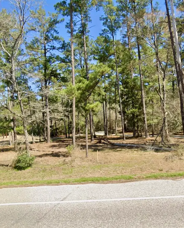 0 Grissom Road, Richards, TX 77873